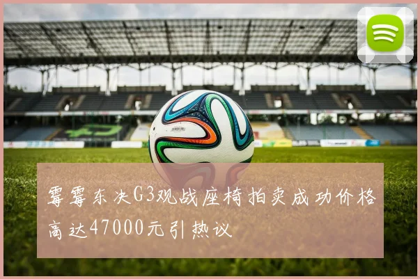 霉霉东决G3观战座椅拍卖成功价格高达47000元引热议