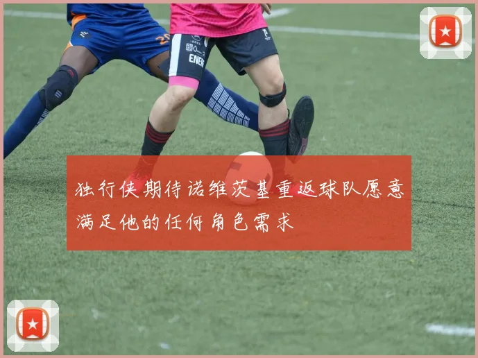 独行侠期待诺维茨基重返球队愿意满足他的任何角色需求