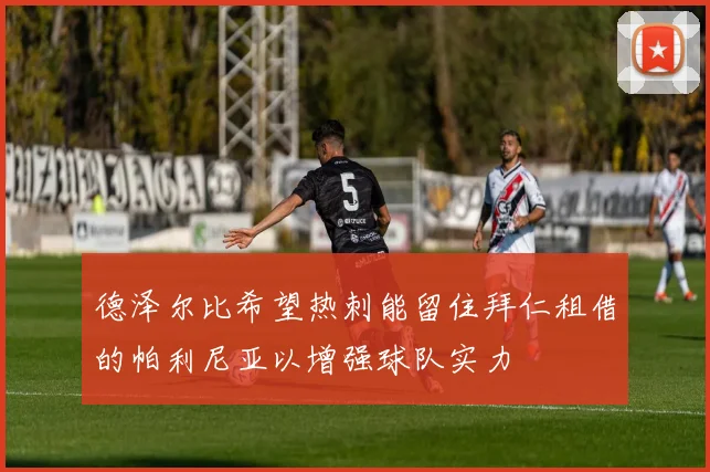 德泽尔比希望热刺能留住拜仁租借的帕利尼亚以增强球队实力